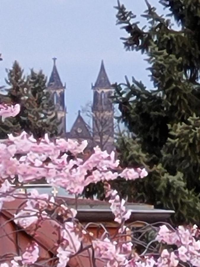 Haus Schmeile Maagdenburg Buitenkant foto